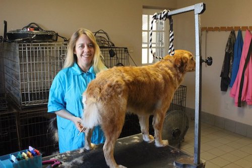 Dog Grooming in Frederick, MD | Sunchaser Kennels